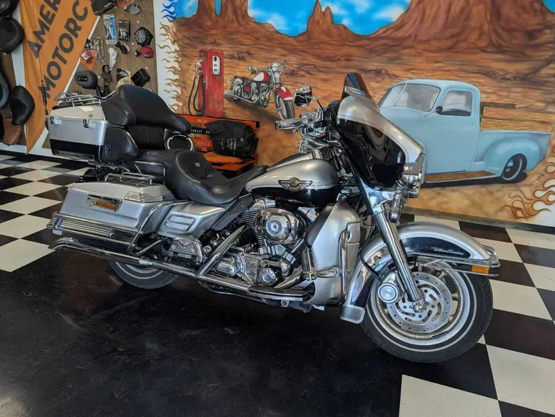 Harley-Davidson 1450 Electra Glide Ultra Classic (2003 - 05) - FLHTCUI (2)