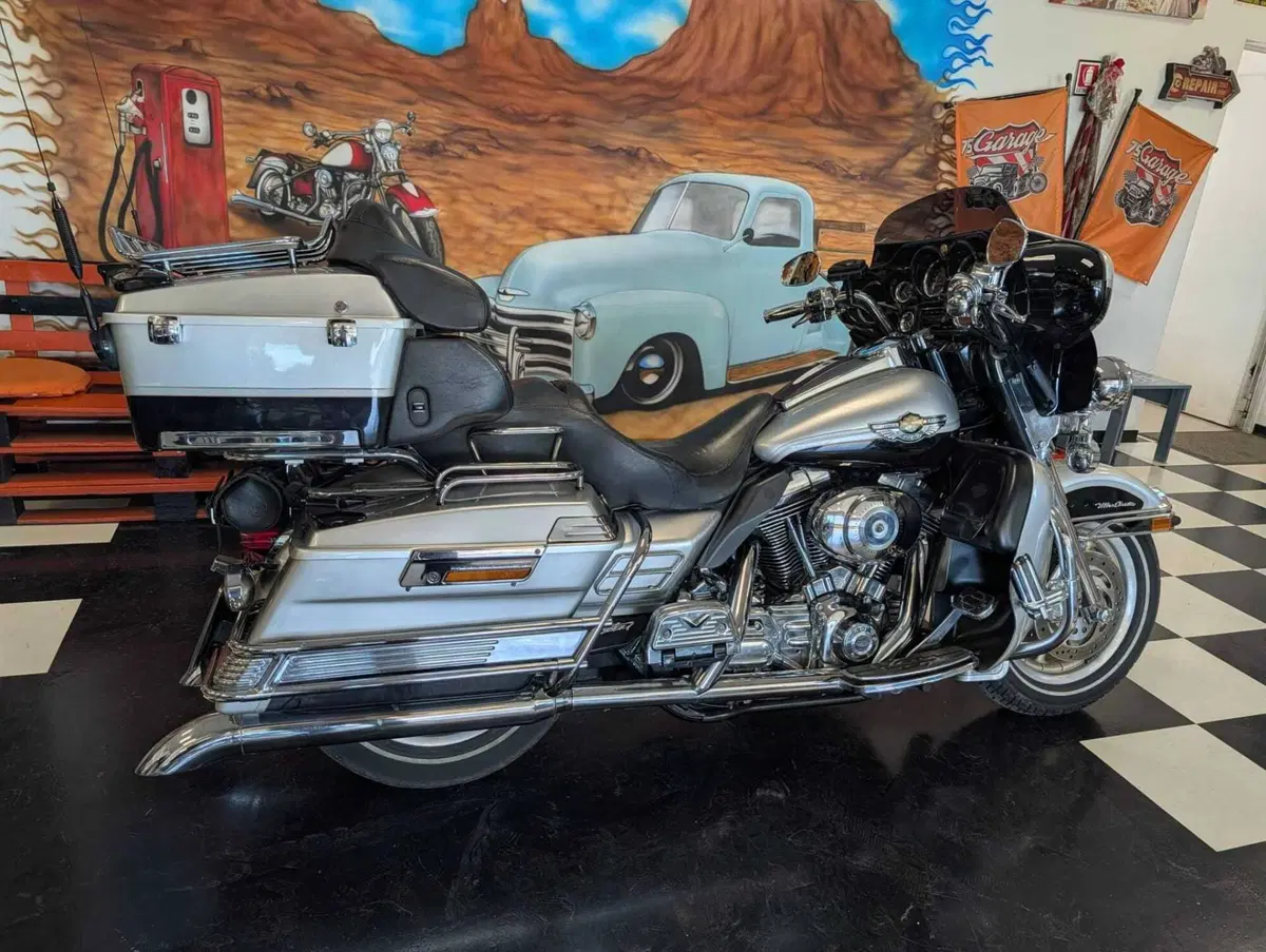 Harley-Davidson 1450 Electra Glide Ultra Classic (2003 - 05) - FLHTCUI (3)