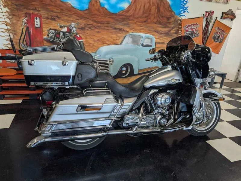 Harley-Davidson 1450 Electra Glide Ultra Classic (2003 - 05) - FLHTCUI (3)