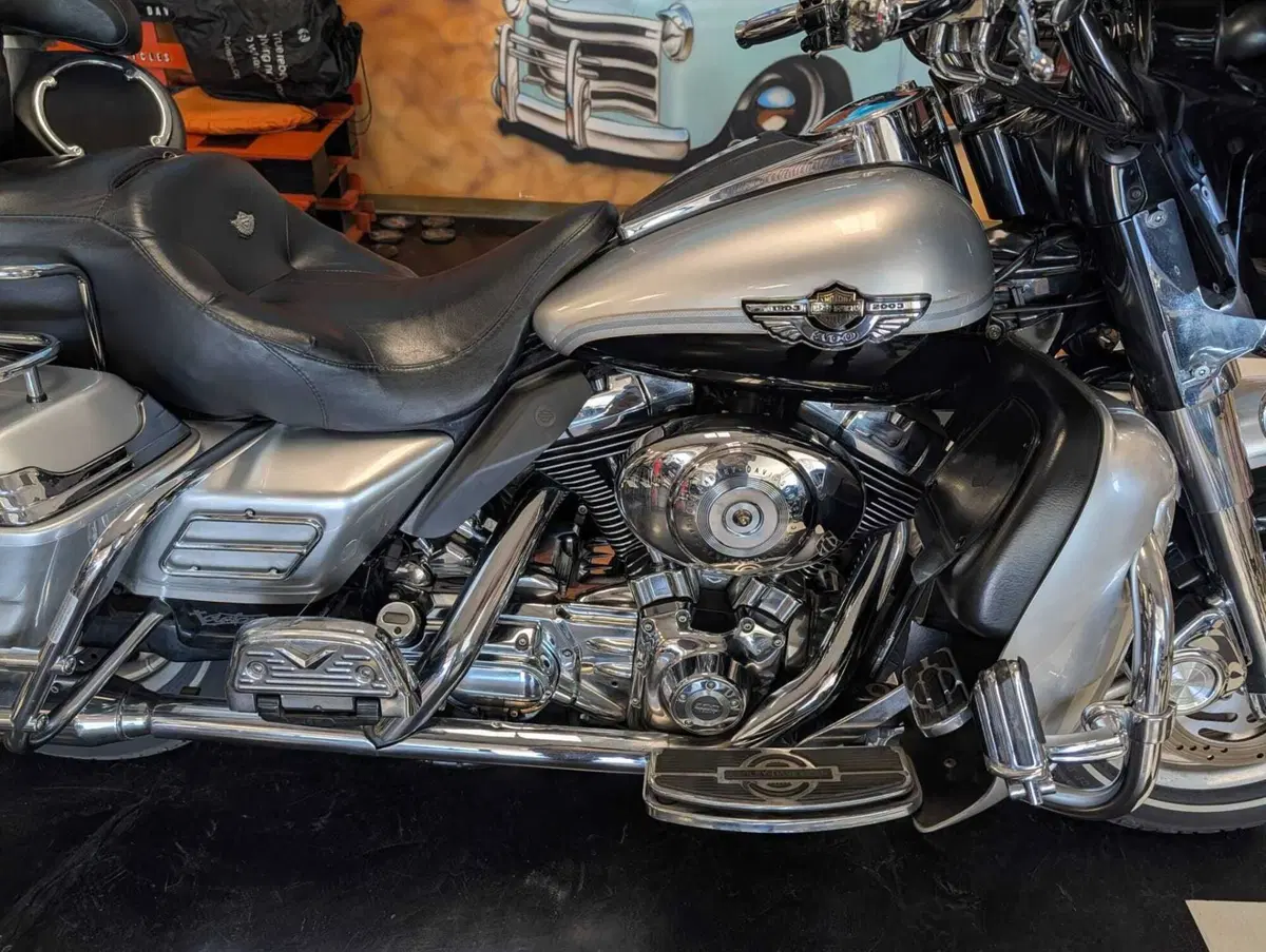 Harley-Davidson 1450 Electra Glide Ultra Classic (2003 - 05) - FLHTCUI (4)