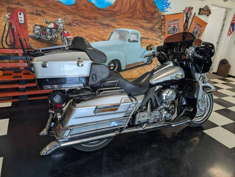 Harley-Davidson 1450 Electra Glide Ultra Classic (2003 - 05) - FLHTCUI (6)