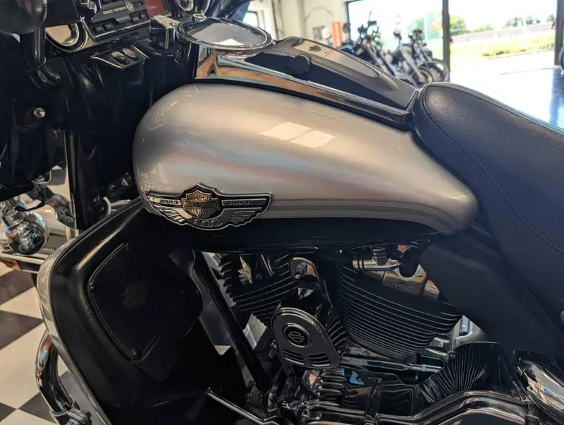 Harley-Davidson 1450 Electra Glide Ultra Classic (2003 - 05) - FLHTCUI (11)