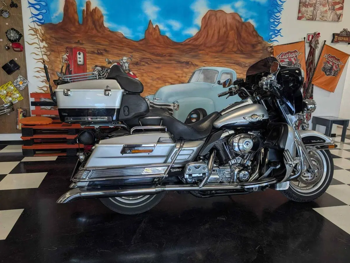 Harley-Davidson 1450 Electra Glide Ultra Classic (2003 - 05) - FLHTCUI (15)