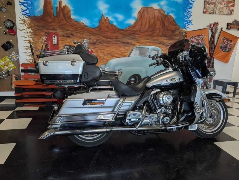 Harley-Davidson 1450 Electra Glide Ultra Classic (2003 - 05) - FLHTCUI (15)