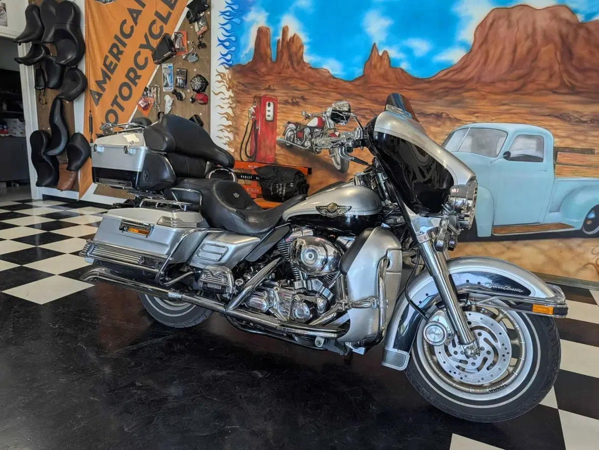 Harley-Davidson 1450 Electra Glide Ultra Classic (2003 - 05) - FLHTCUI (16)
