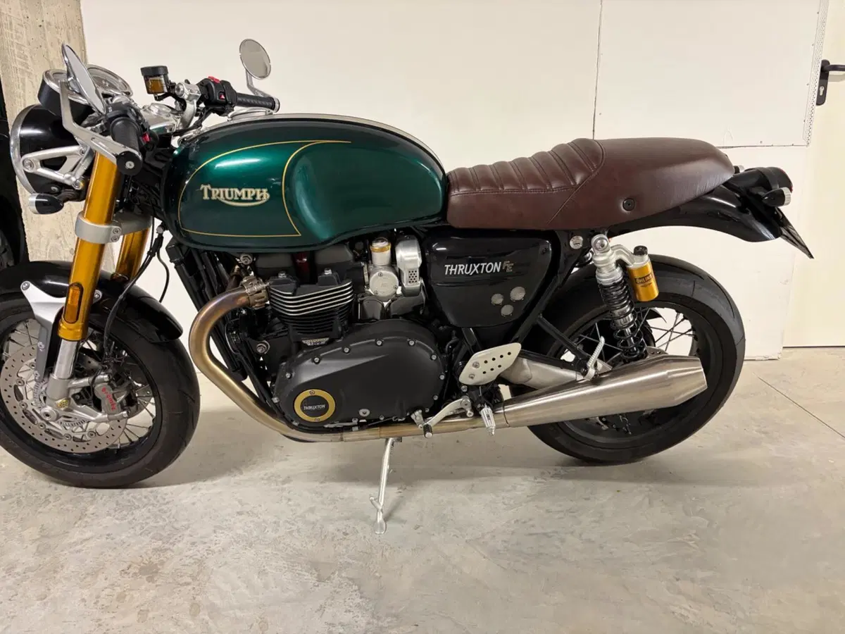 Triumph Thruxton RS Final Edition (2024 - 25) (7)