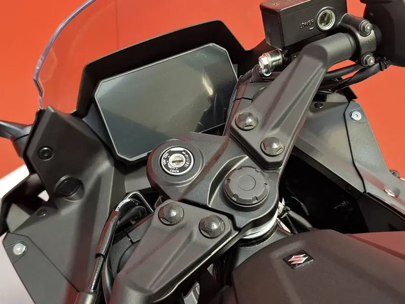 Suzuki GSX-8R EVO (2025 - 26) (10)