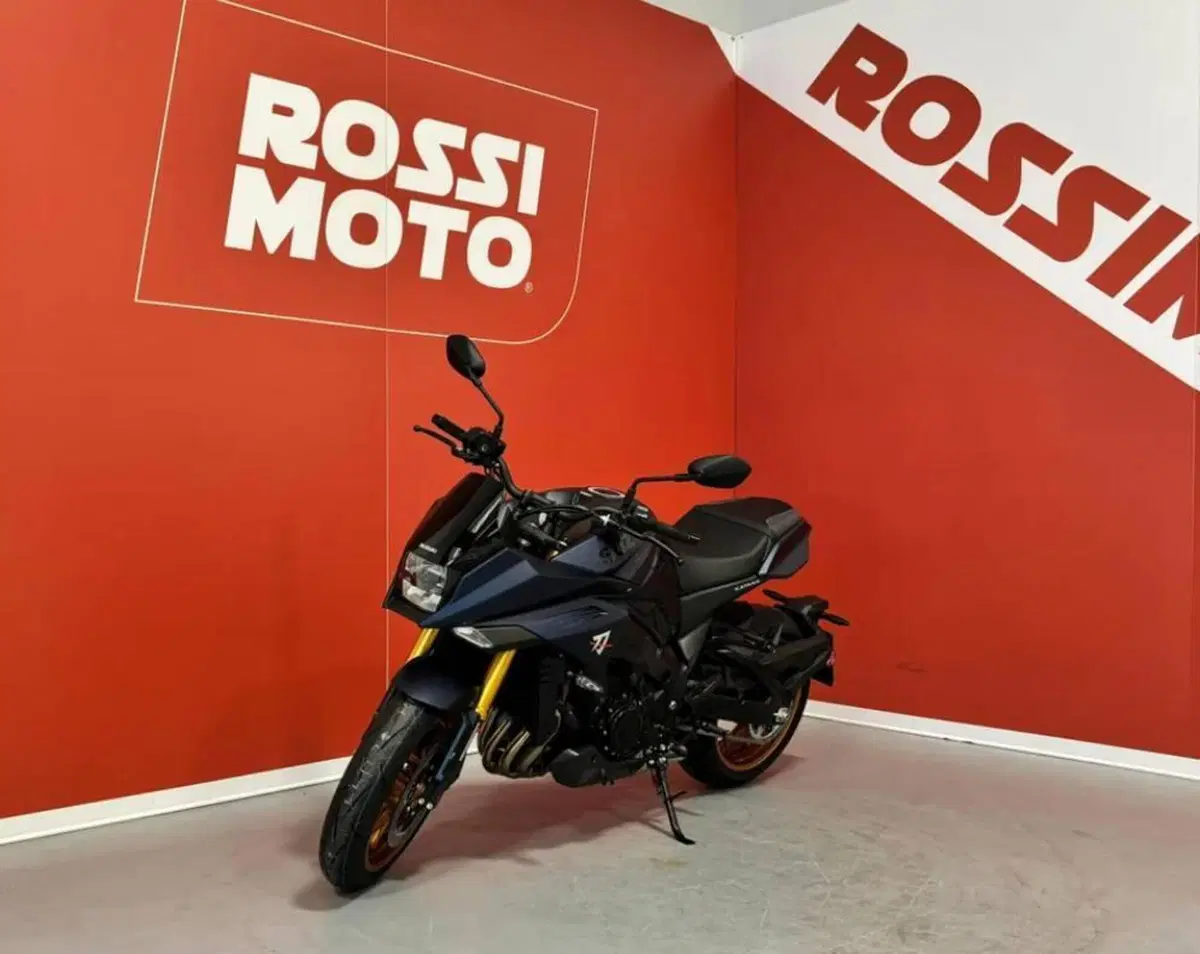Suzuki Katana 1000 (2022 - 26) (4)