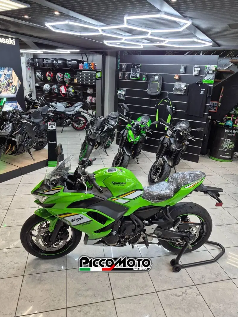 Kawasaki Ninja 650 (2025 - 26) (6)