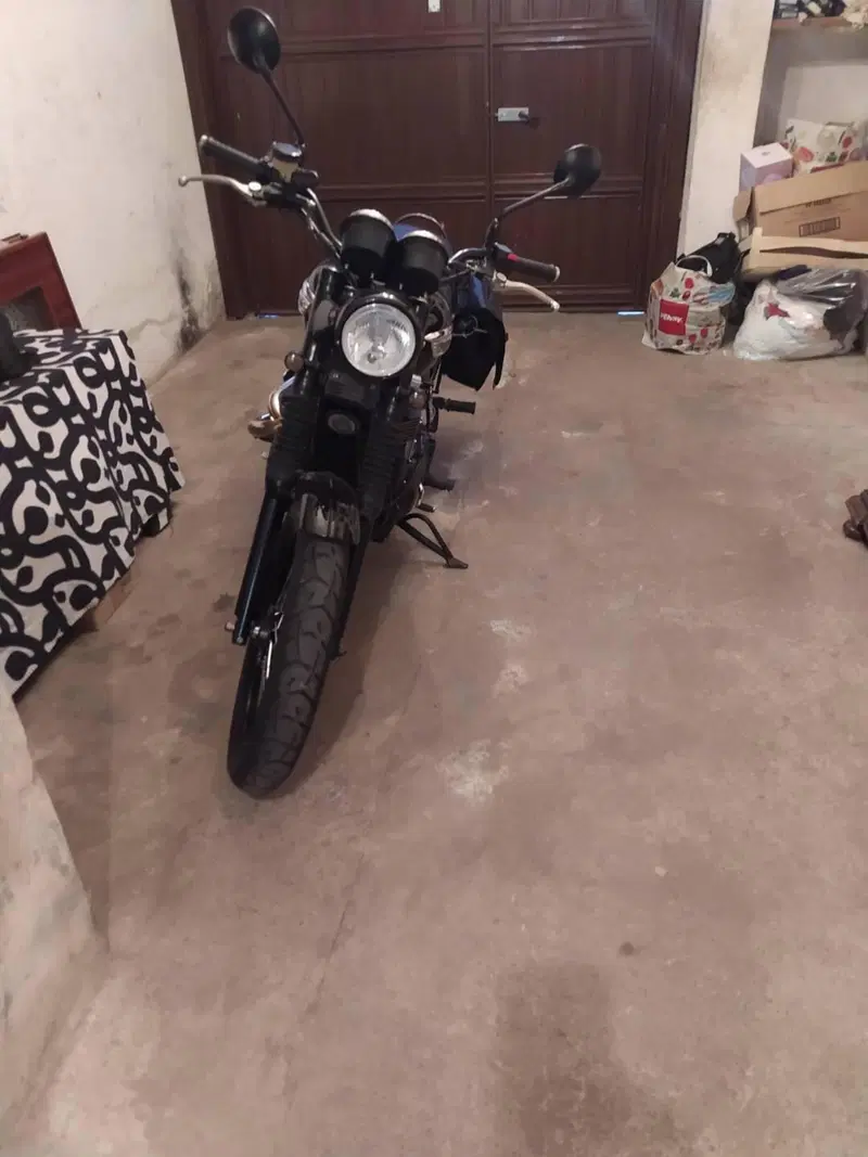 Triumph Street Scrambler 900 (2017 - 18) (5)