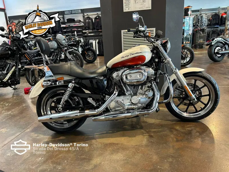 Harley-Davidson 883 Low (2008 - 12) - XL 883L
