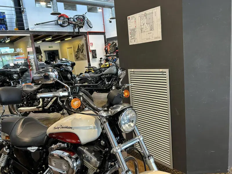 Harley-Davidson 883 Low (2008 - 12) - XL 883L (2)