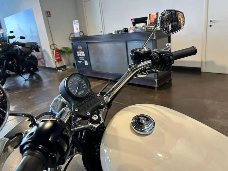 Harley-Davidson 883 Low (2008 - 12) - XL 883L (4)