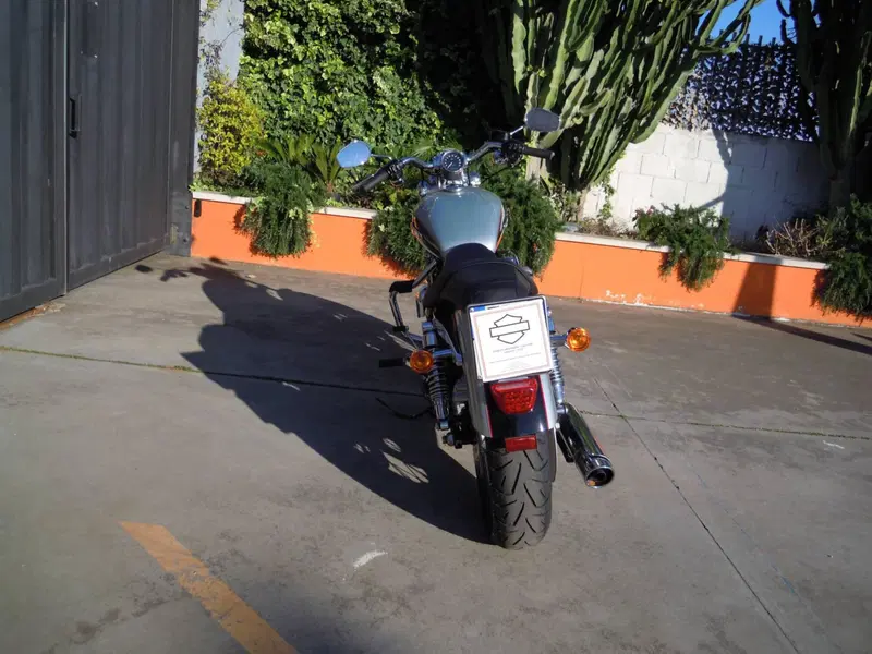Harley-Davidson 1200 Custom ABS (2014 - 16) - XL 1200C (5)