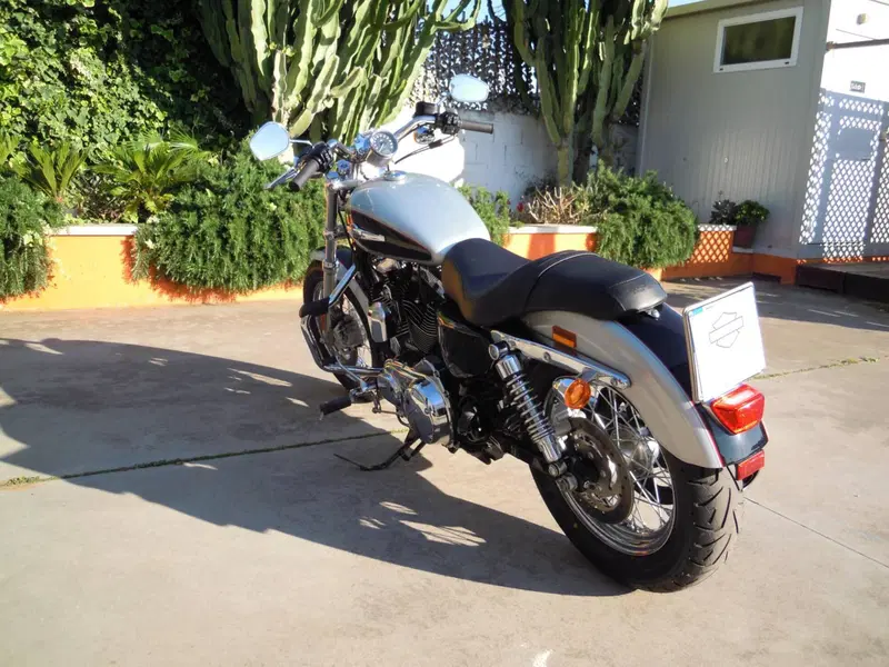 Harley-Davidson 1200 Custom ABS (2014 - 16) - XL 1200C (6)
