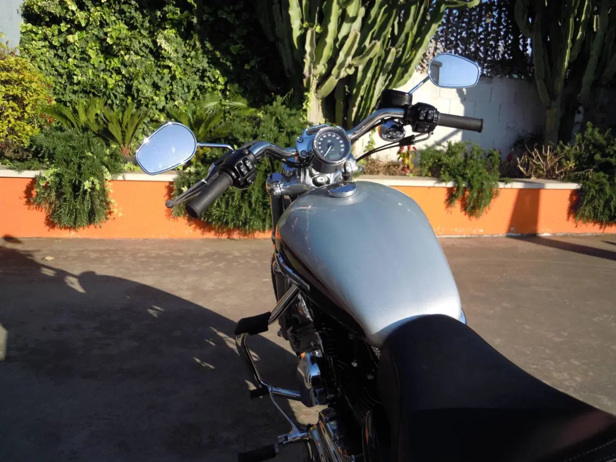 Harley-Davidson 1200 Custom ABS (2014 - 16) - XL 1200C (7)