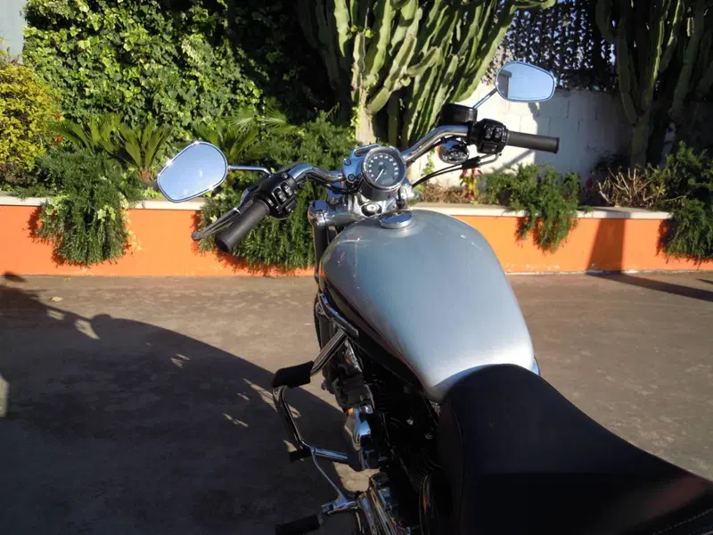 Harley-Davidson 1200 Custom ABS (2014 - 16) - XL 1200C (7)