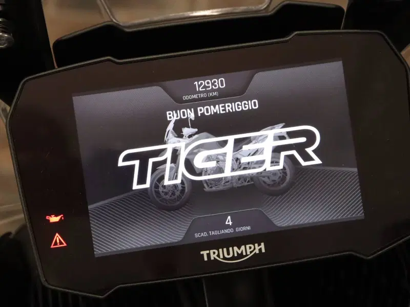Triumph Tiger 900 Rally Aragón Edition (2023 - 24) (19)