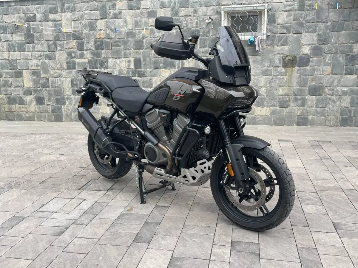 Harley-Davidson Pan America 1250 (2020 - 25) (3)