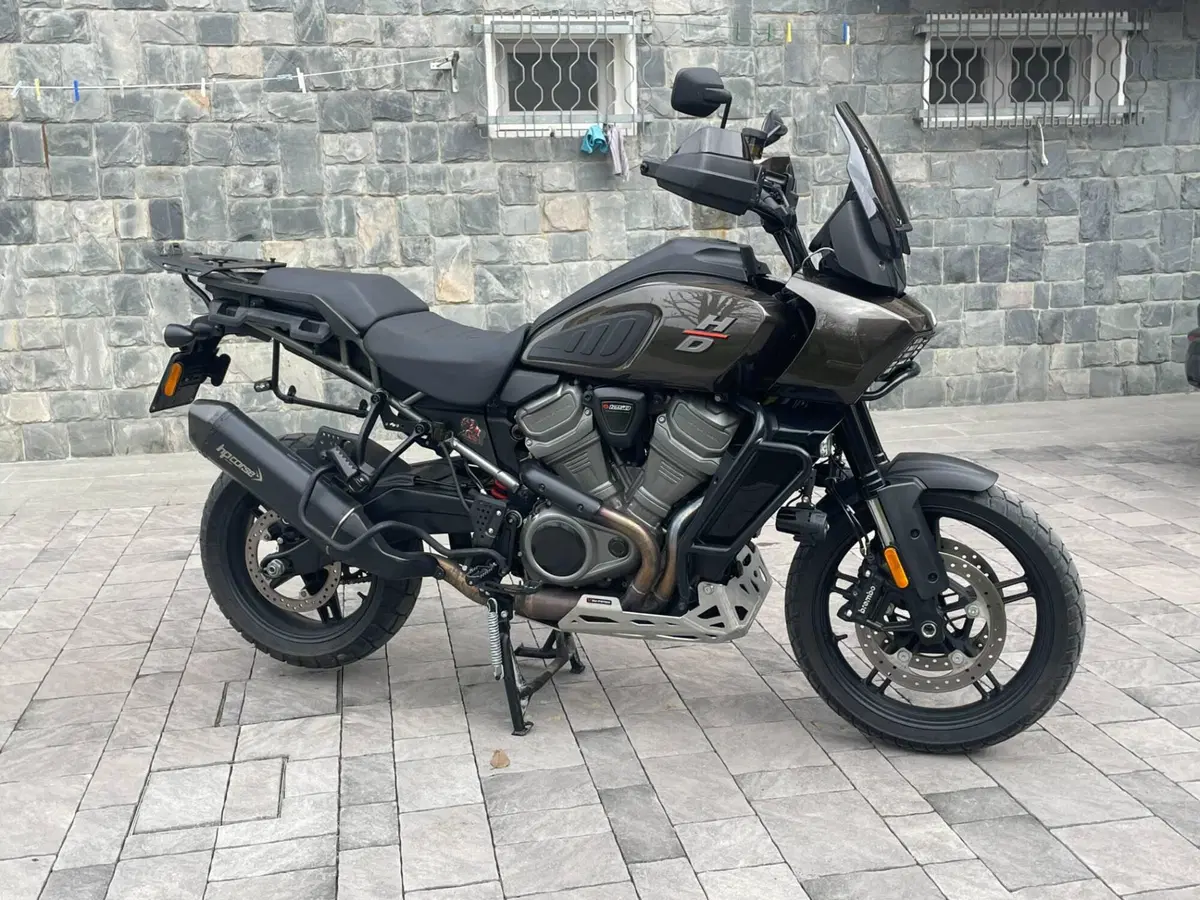Harley-Davidson Pan America 1250 (2020 - 25) (4)
