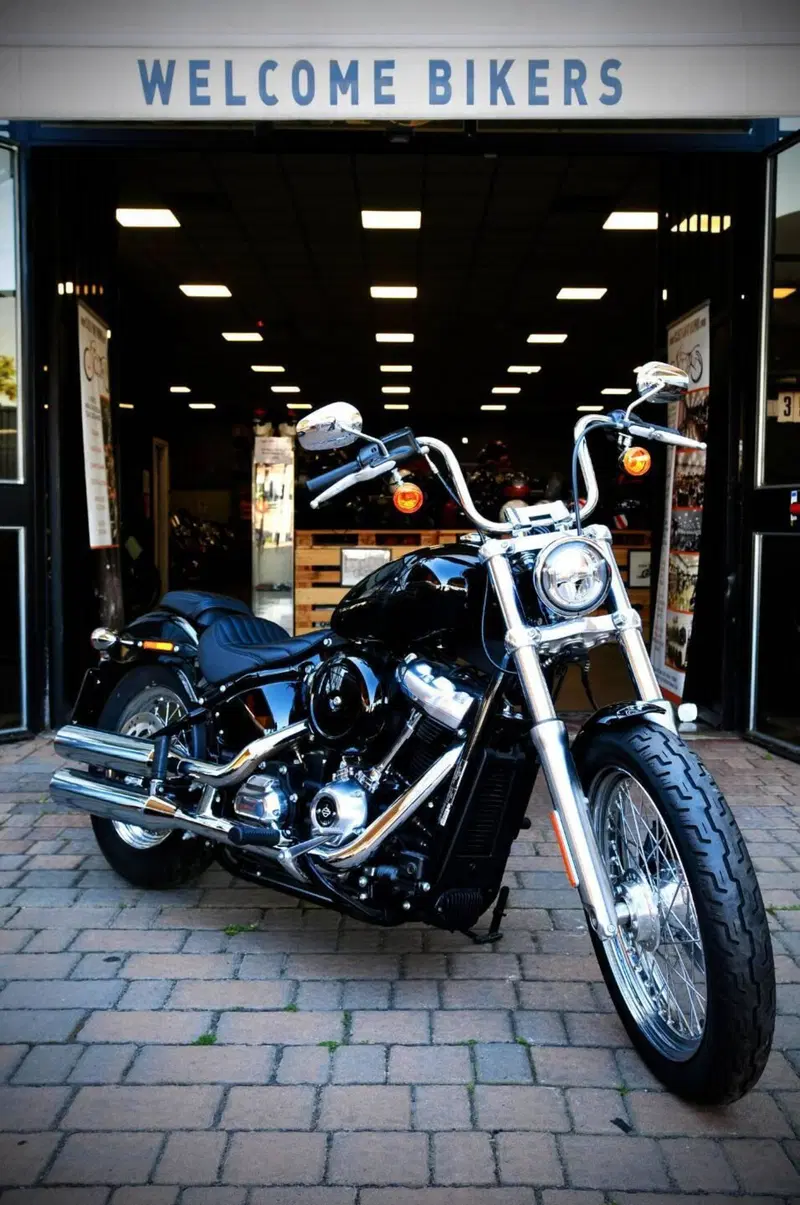 Harley-Davidson Softail Standard (2021 - 25)