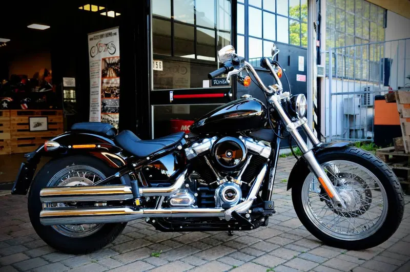 Harley-Davidson Softail Standard (2021 - 25) (2)