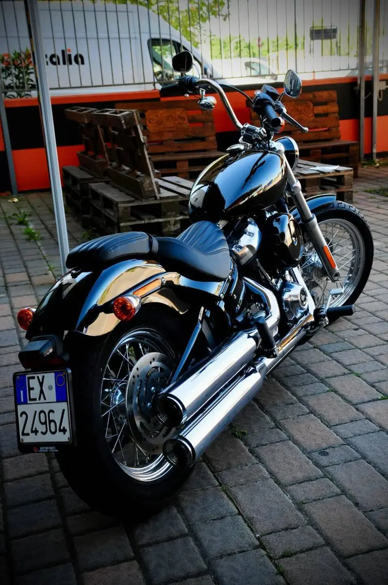 Harley-Davidson Softail Standard (2021 - 25) (3)