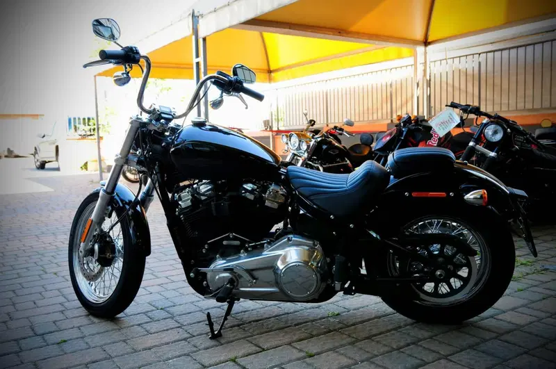 Harley-Davidson Softail Standard (2021 - 25) (4)
