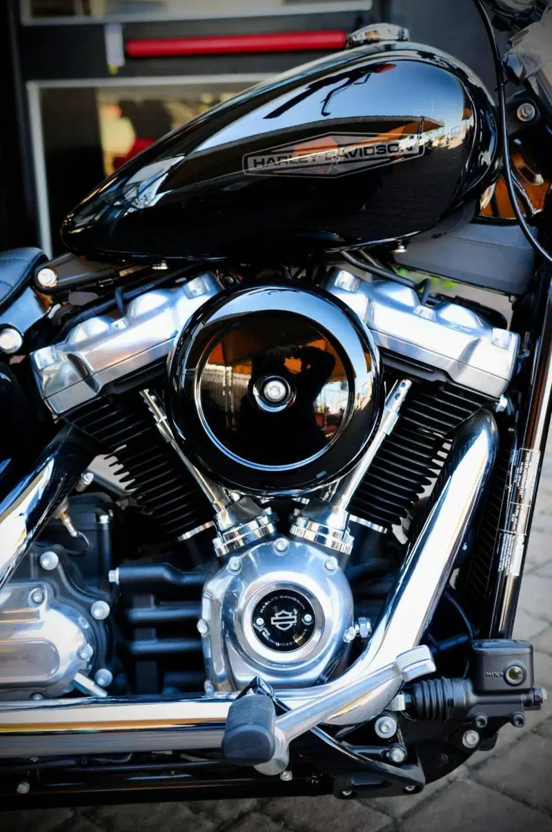 Harley-Davidson Softail Standard (2021 - 25) (7)