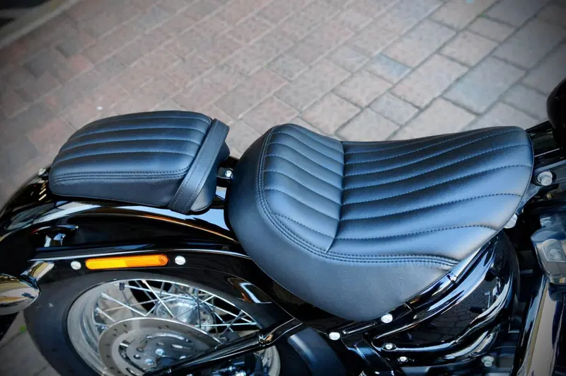 Harley-Davidson Softail Standard (2021 - 25) (8)