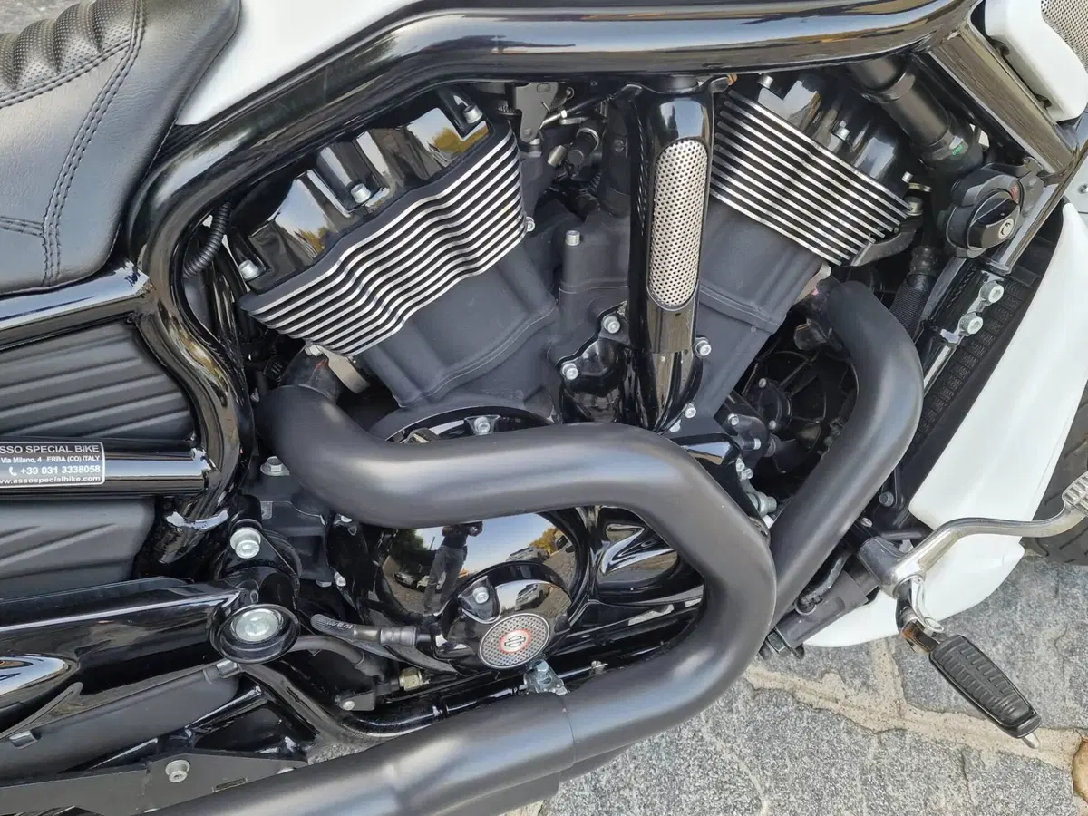 Harley-Davidson 1130 Night Rod Special (2006 - 07) - VRSCDX (4)