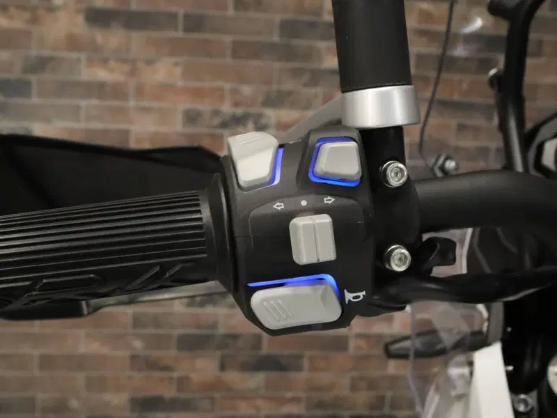 Benelli TRK 502X (2018 - 20) (17)