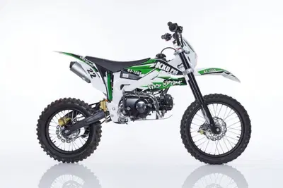  Altre moto o tipologie Pitbike nuova