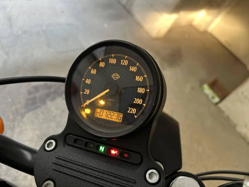 Harley-Davidson 1200 Iron (2018 - 20) - XL1200N (3)