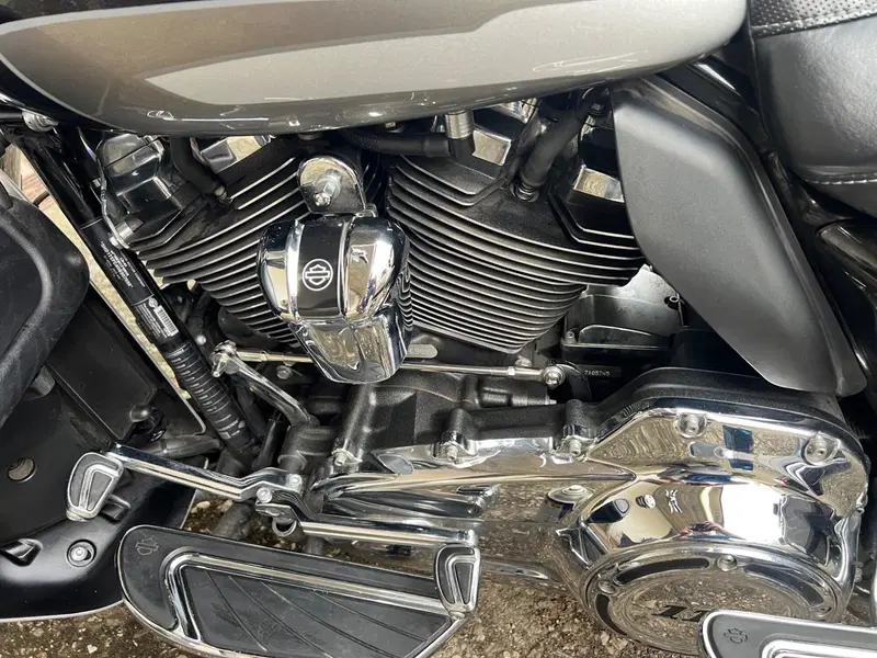 Harley-Davidson 114 Limited (2017) (5)