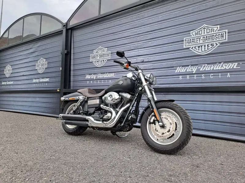 Harley-Davidson 1584 Fat Bob (2007 - 13) - FXDF (2)