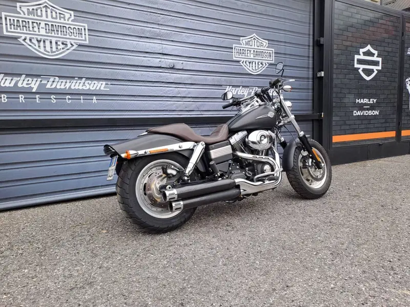 Harley-Davidson 1584 Fat Bob (2007 - 13) - FXDF (3)