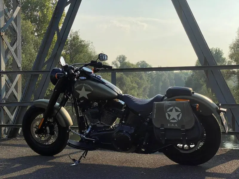 Harley-Davidson 1800 Slim S (2015 - 17) - FLS (2)