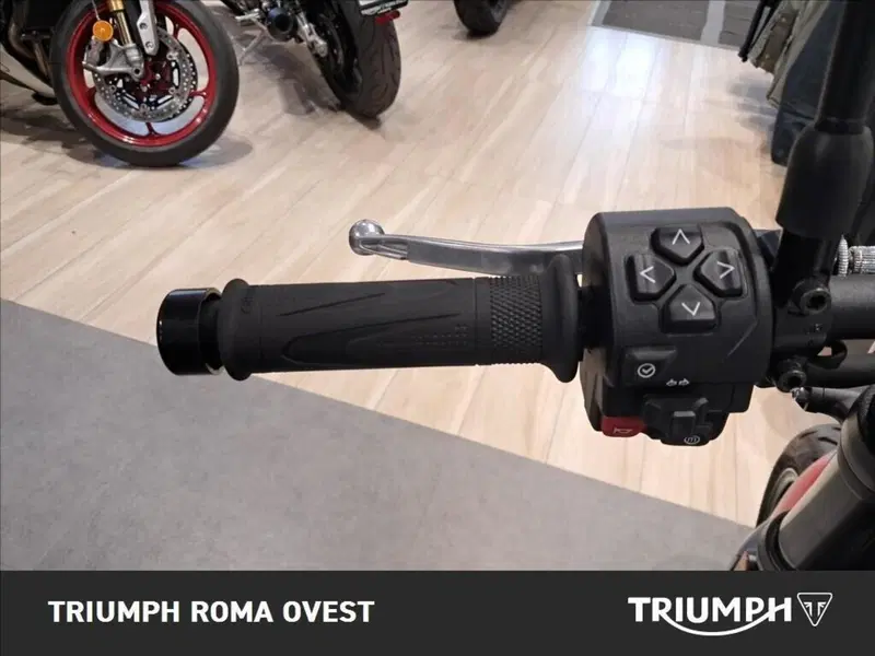 Triumph Trident 660 (2021 - 24) (9)