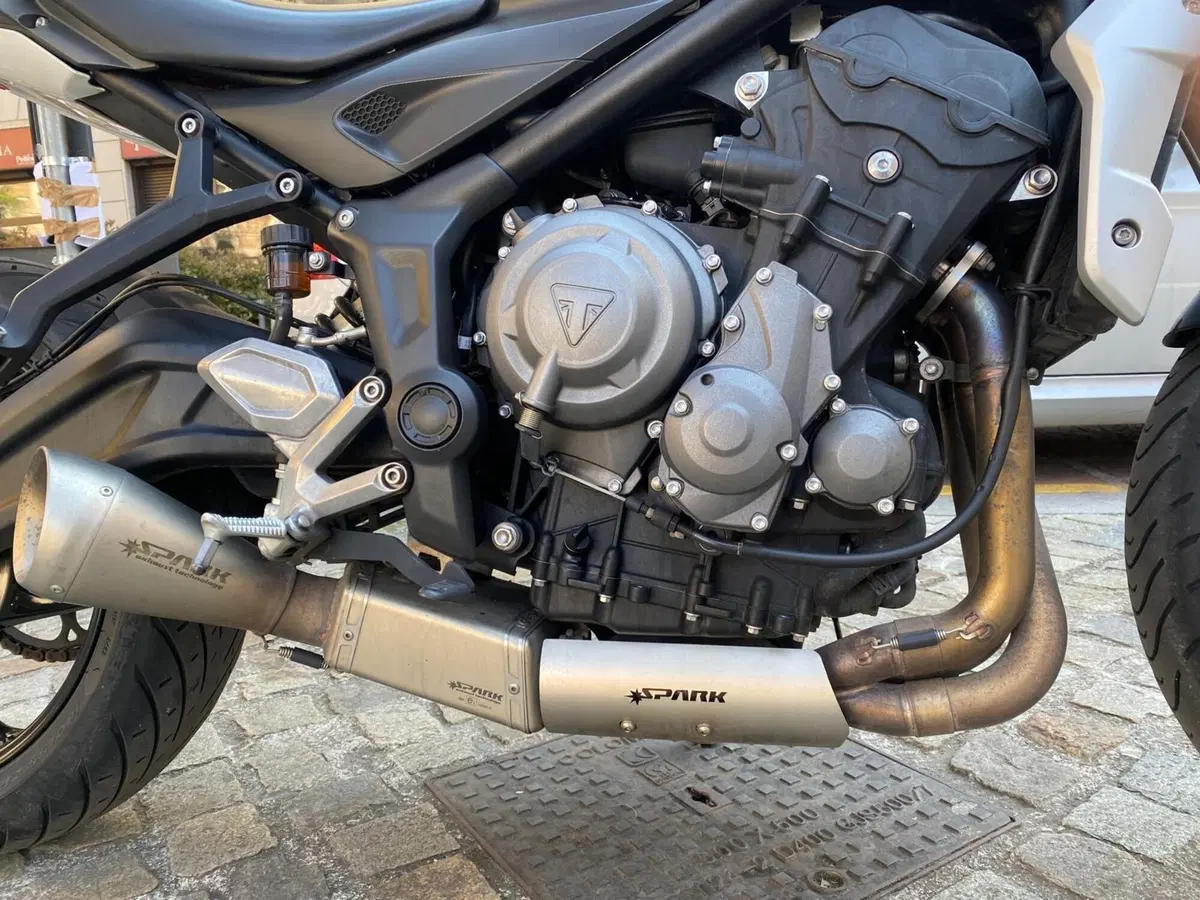 Triumph Trident 660 (2021 - 24) (2)