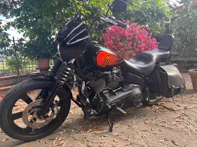 Harley-Davidson Street Bob 114 (2021 - 24) usata