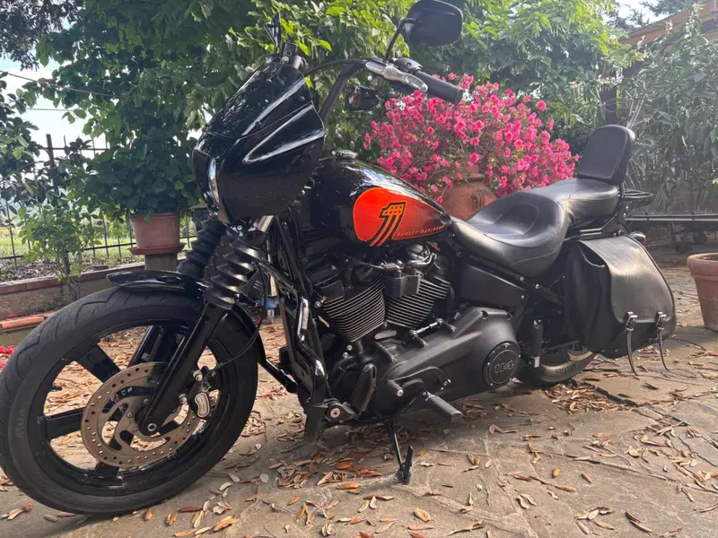 Harley-Davidson Street Bob 114 (2021 - 24)