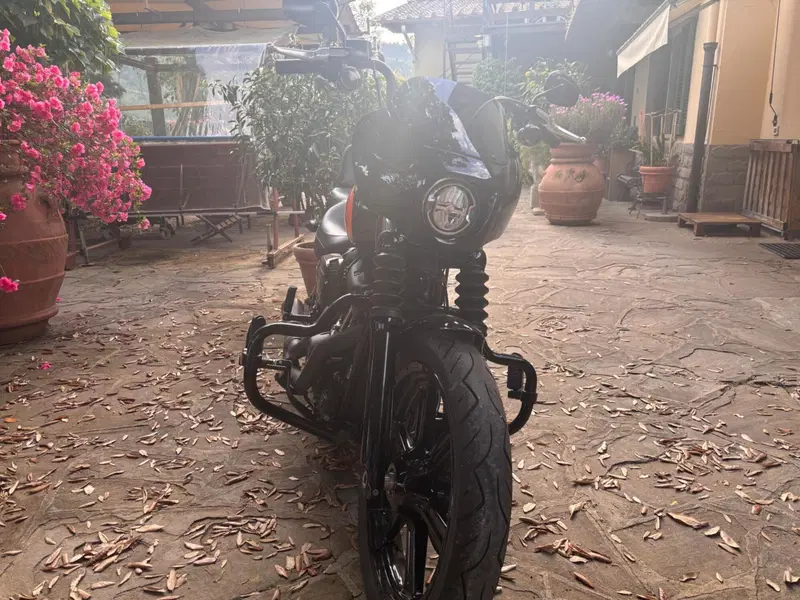 Harley-Davidson Street Bob 114 (2021 - 24) (2)