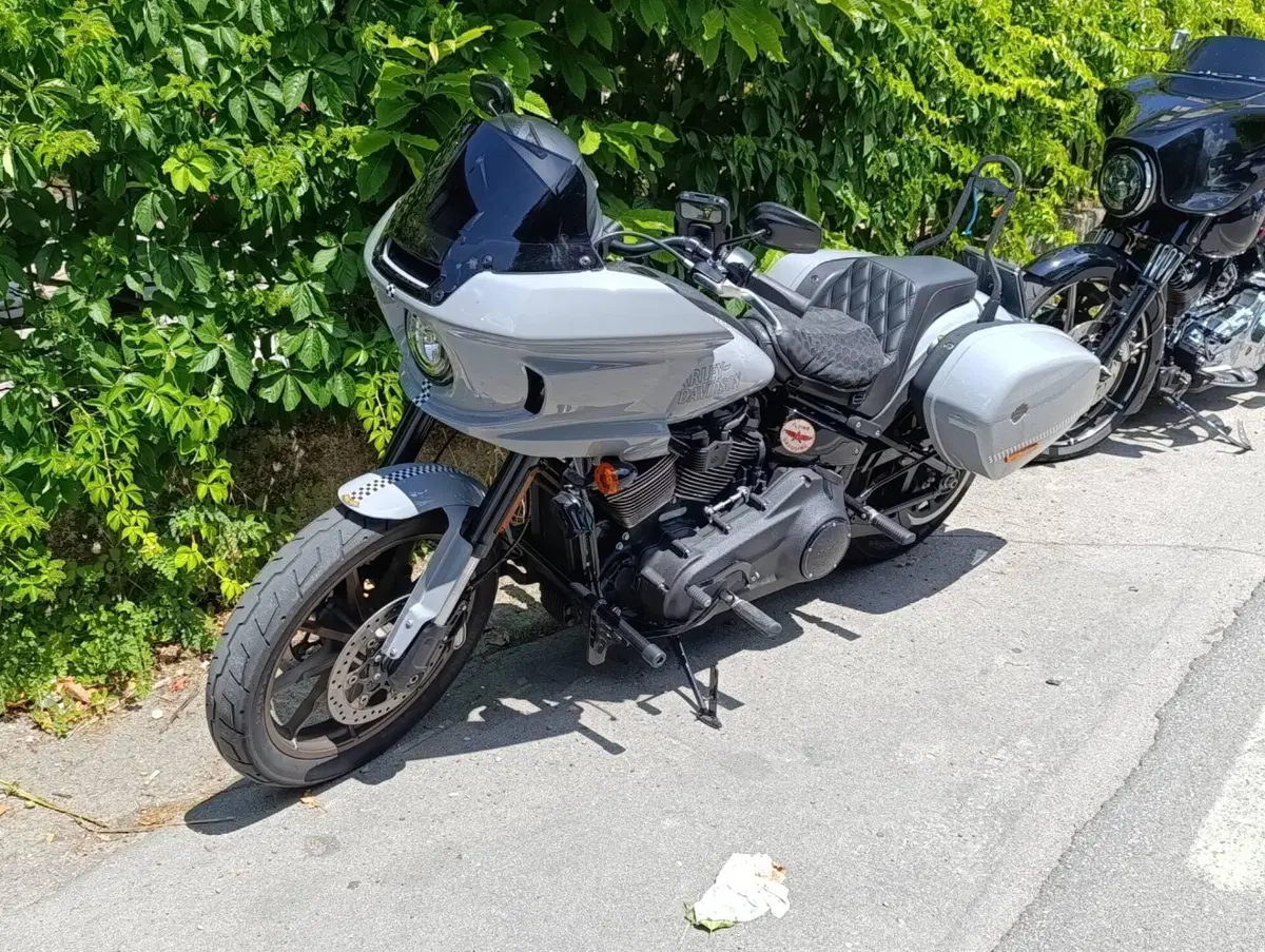 Harley-Davidson Low Rider ST (2022 - 24)
