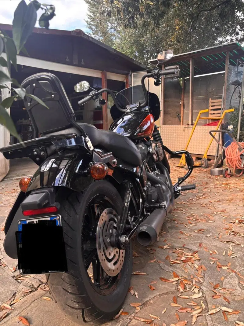 Harley-Davidson Street Bob 114 (2021 - 24) (4)