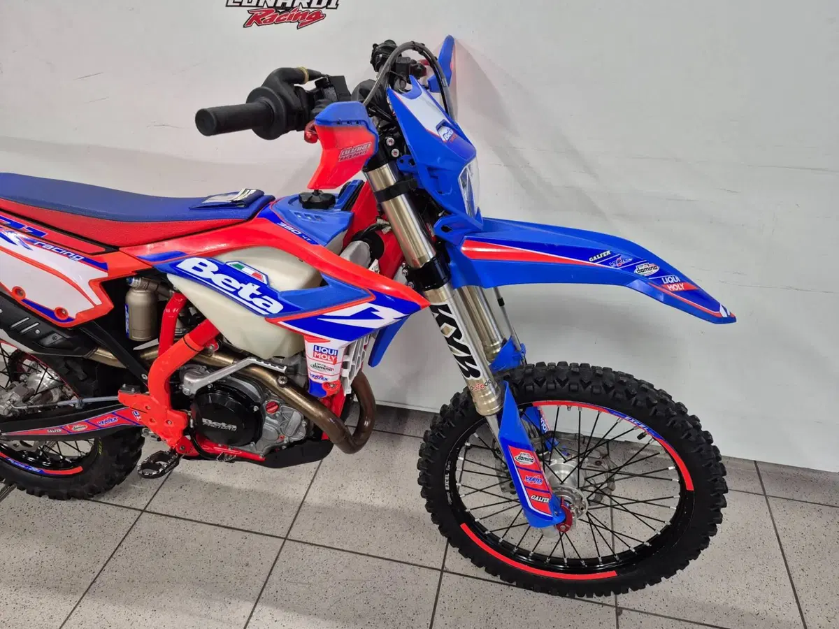 Betamotor RR 390 4T Enduro Racing (2024) (2)