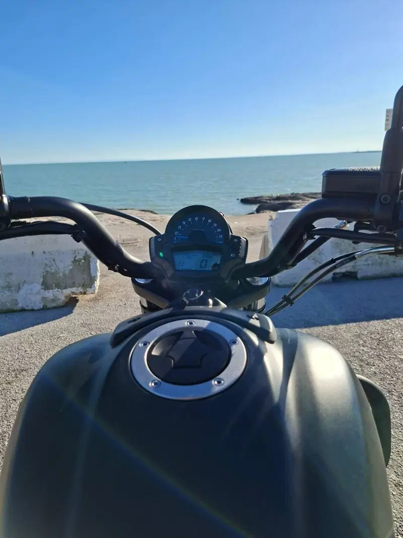 Kawasaki Vulcan S 650 (2017 - 20) (4)