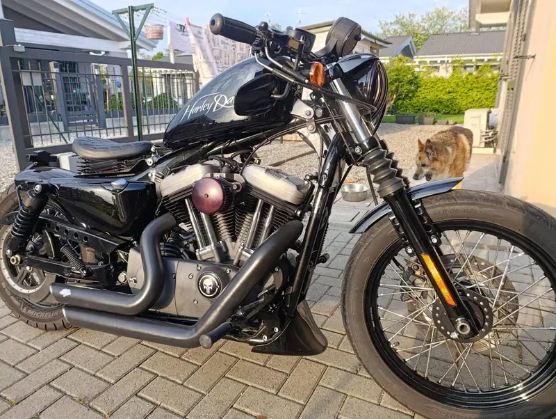 Harley-Davidson 1200 Custom (2007 - 13) - XL 1200C (6)