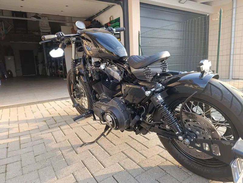Harley-Davidson 1200 Custom (2007 - 13) - XL 1200C (7)
