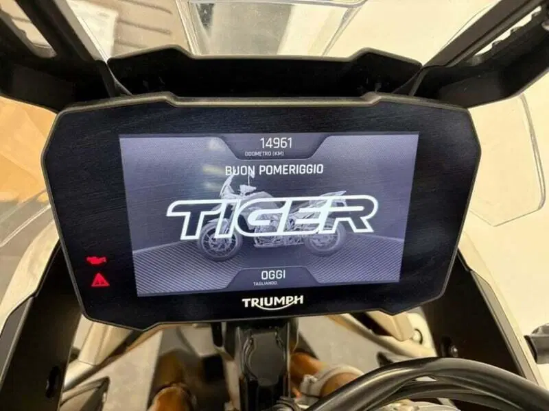 Triumph Tiger 900 Rally Pro (2020 - 23) (3)